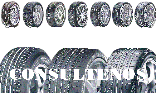 Neumáticos multimarca en Valladolid
